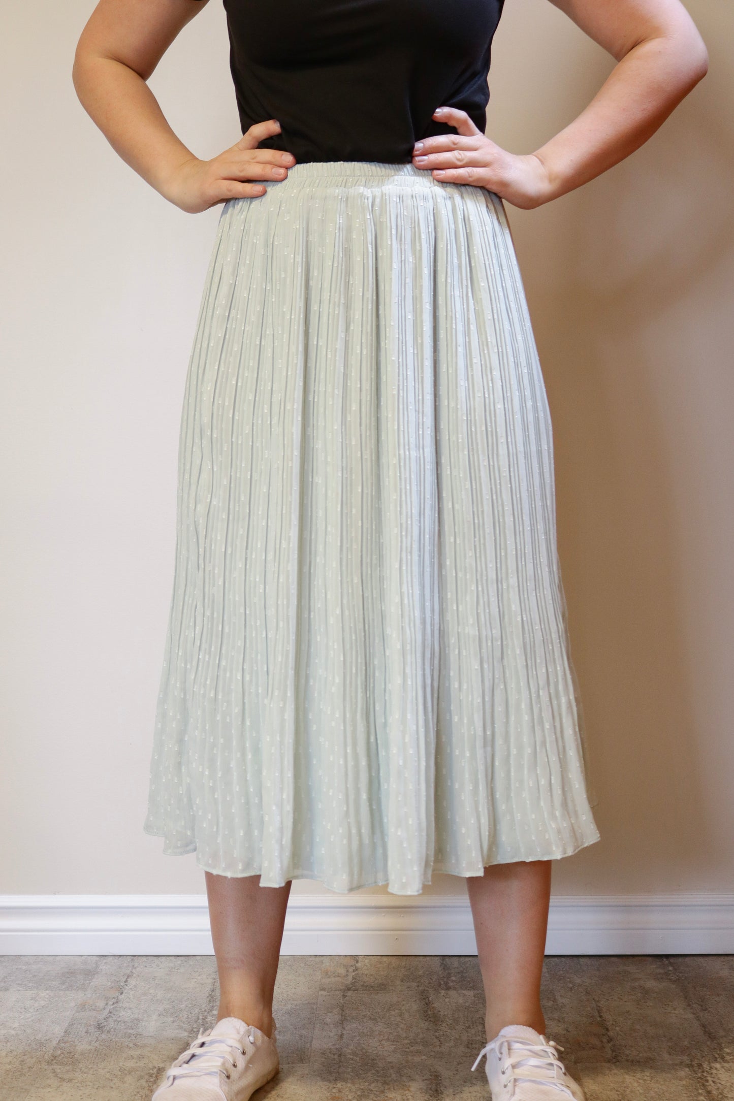 Swiss Dot Pleated Skirt- Powder Blue S-L